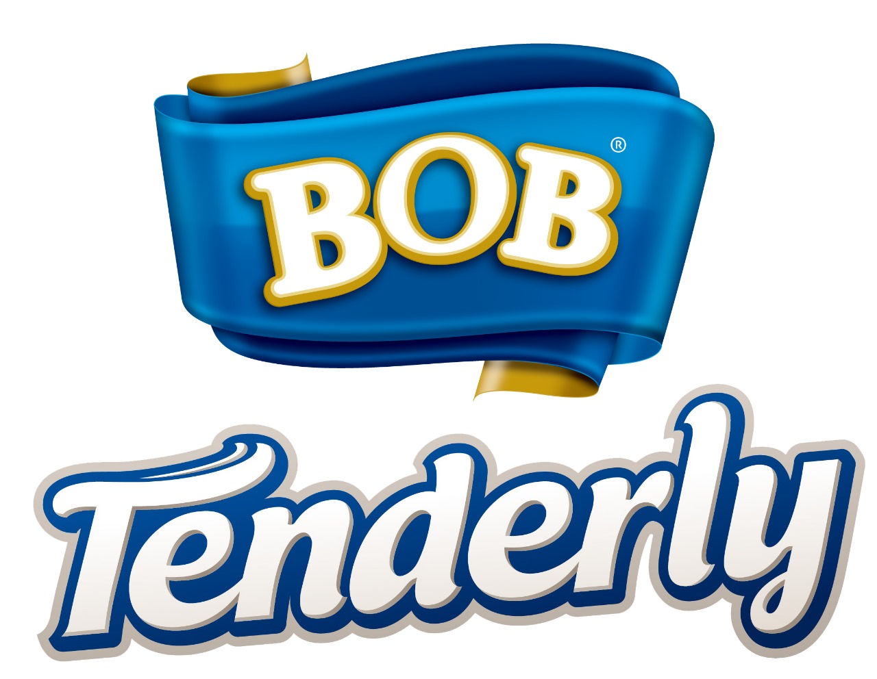 LOGO CAHDAM (BOB TENDERLY)